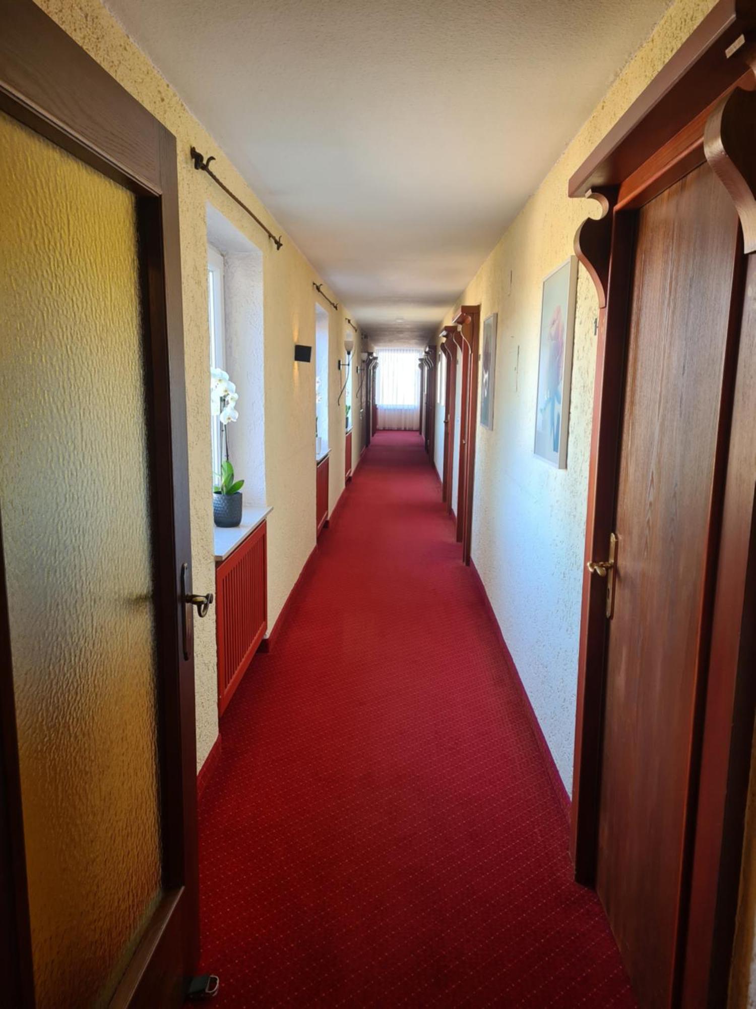Hotel Birkenmoor Garni Scheidegg Buitenkant foto